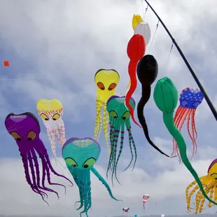 No idea what's up with the sperm kites... 0_O  #BerkeleyKiteFestival