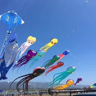 Some new kites to join the giant kite club
