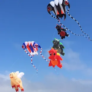 The flying pig is pure epic!