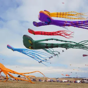 Berkeley Kite Festival 2011