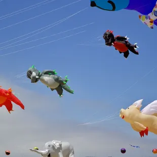 Spyro the Dragon kites #BerkeleyKiteFestival