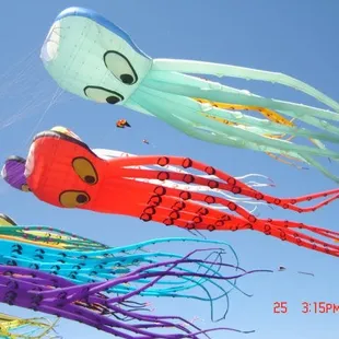 Berkeley Kite Fest 2009