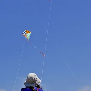 #BerkeleyKiteFestival