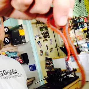 Bait! Careful of the fangs!