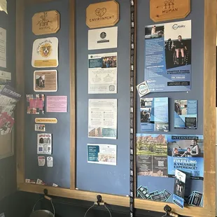 Causes with buckets to place tokens to vote