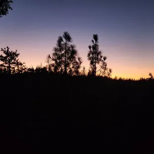 Evening view from the porch