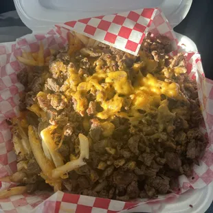 Carne Asada Fries Special
