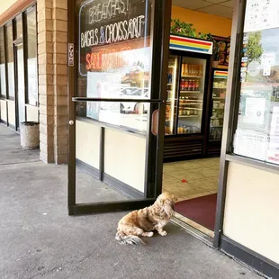 Line for yummy donuts, worth waiting for.