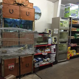 a bird in a cage in a store