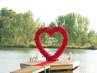 Bywater Hollow Lavender Farm