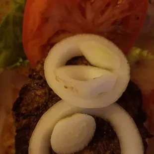 Regular burger and it come with fries (not pictured). Totally worth the money.