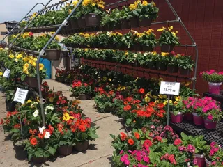 Reading Feed & Garden