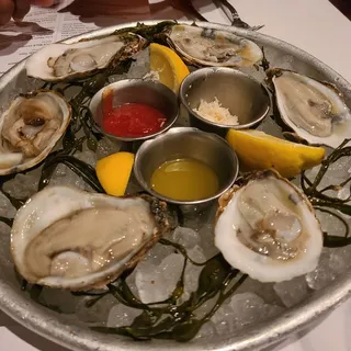 Six Oysters on the Half Shell