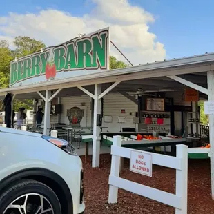 Photo courtesy of Stephani Shepherd