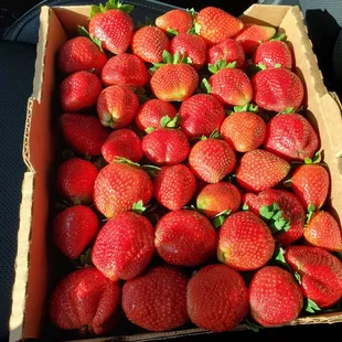 A half flat of strawberries already picked off the vine for $16