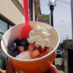 Vanilla strawberry frozen yogurt