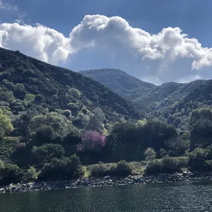 Beautiful spring day at Markley Cove