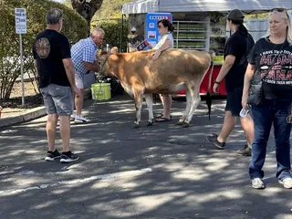 Loomis Eggplant Festival