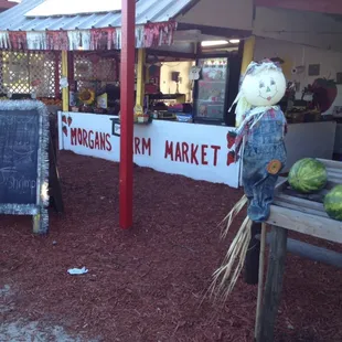 a display of watermelons