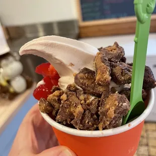 Peanut butter Frozen Yogurt