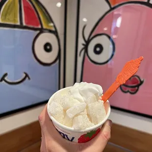 Plain "tart" froyo with mochi topping