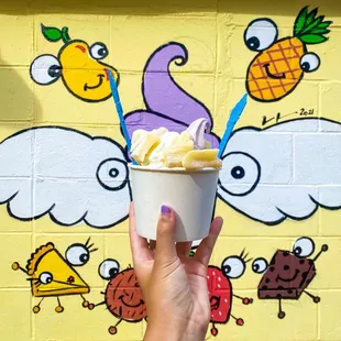 Frozen Yogurt with 1 Topping