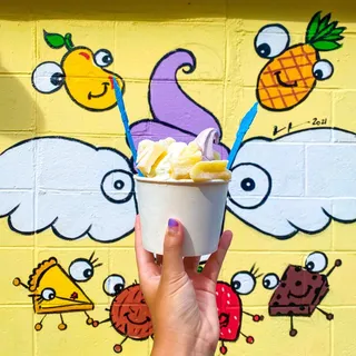 Frozen Yogurt with 1 Topping