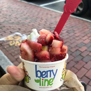 Frozen Yogurt with Multiple Toppings