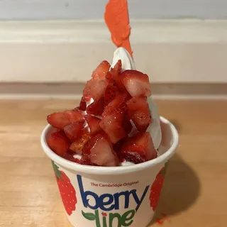 Ice Cream with 1 Topping