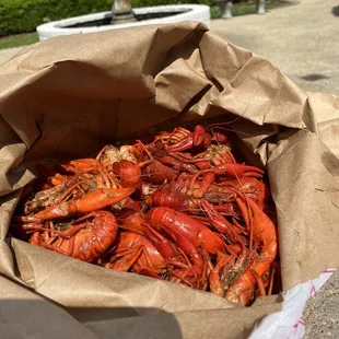 Crawfish from 3/11/23