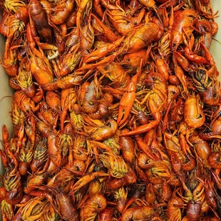 a pile of crawfish