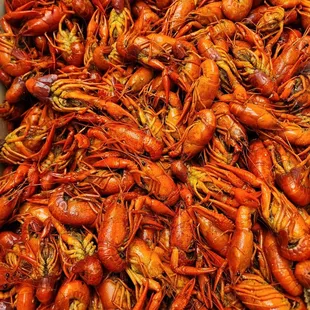 a pile of crawfish