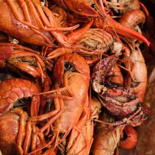 When it&apos;s crawfish season...