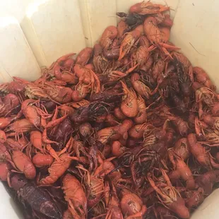 Boiled Crawfish! Very Juicy &amp; Flavorful !!