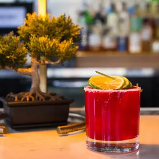 Hibiscus Margarita