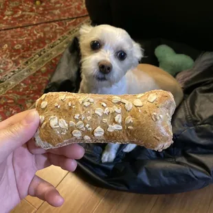 Dog biscuit