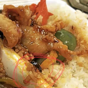 White rice and chicken WITH A SIDE OF BUG!