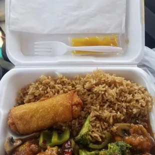 General Tso&apos;s Chicken Lunch