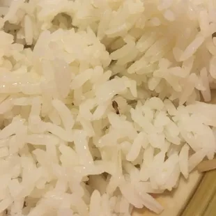 If you look closely, there is a bug in the white rice.