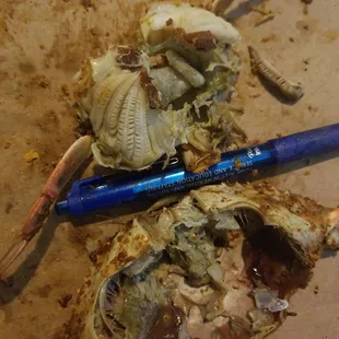 Female Crabs