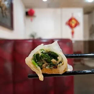 Inside the Shrimp Chive Dumpling