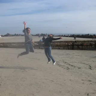 D L.