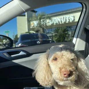 Getting breakfast treats