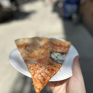 Cheese slice