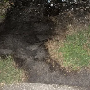 Chemical Dumbing unto my property