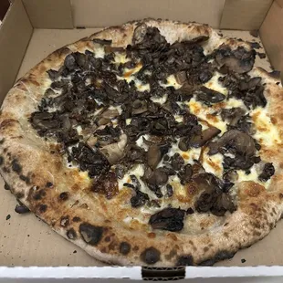 Mushroom pizza