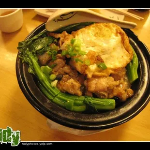 Sizzling Xo Sauce Rice Noodles