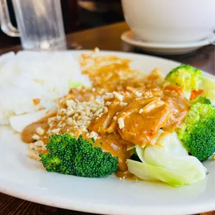 Bangkok Special- chicken. Way too thick of a peanut sauce- too smothered, too much sauce.