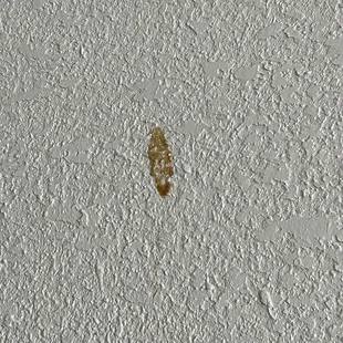 Random stain on my wall that was there from check-in through check-out (4 nights)