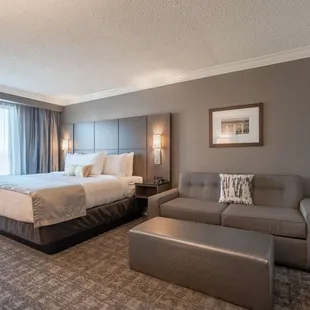 Single Queen Bed Room